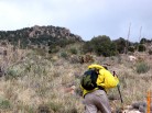 photo thumbnail #7