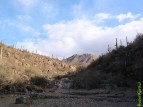 photo thumbnail #2