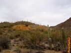 photo thumbnail #12