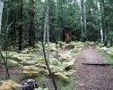 photo thumbnail #4