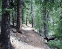 photo thumbnail #6