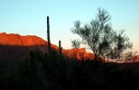 photo thumbnail #10