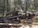 photo thumbnail #5
