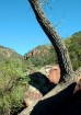 photo thumbnail #13