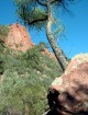 photo thumbnail #14