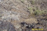 photo thumbnail #5