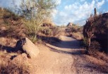 photo thumbnail #7