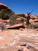photo thumbnail #11