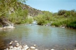 photo thumbnail #4