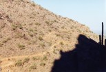 photo thumbnail #10