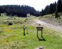 photo thumbnail #2