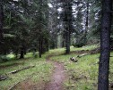 photo thumbnail #9