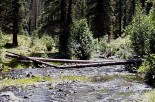 photo thumbnail #14
