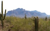 photo thumbnail #3