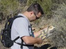 photo thumbnail #2