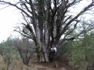 photo thumbnail #5