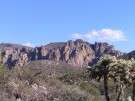photo thumbnail #1