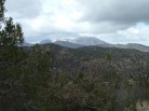 photo thumbnail #3