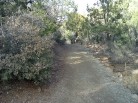 photo thumbnail #8