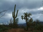 photo thumbnail #1