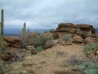photo thumbnail #6