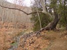 photo thumbnail #7