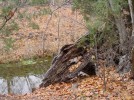 photo thumbnail #8