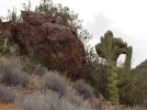 photo thumbnail #11