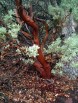 photo thumbnail #6