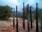 photo thumbnail #11