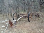 photo thumbnail #5