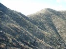 photo thumbnail #13
