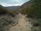 photo thumbnail #1