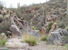 photo thumbnail #3