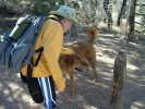photo thumbnail #5