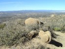 photo thumbnail #9