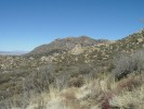 photo thumbnail #10