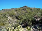 photo thumbnail #1