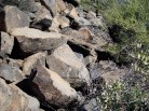 photo thumbnail #7