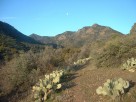 photo thumbnail #4