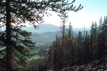 photo thumbnail #5