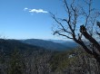 photo thumbnail #14