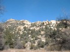 photo thumbnail #3