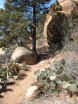 photo thumbnail #7