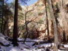 photo thumbnail #9