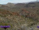 photo thumbnail #7