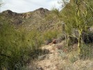 photo thumbnail #8