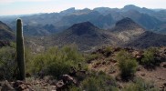 photo thumbnail #15