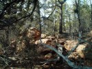 photo thumbnail #4