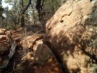 photo thumbnail #6